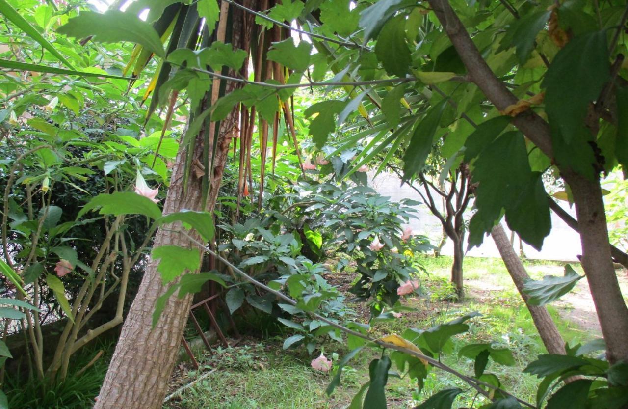 Resort Giardino Degli Aranci - Casa Lisca 巴罗尼西 外观 照片