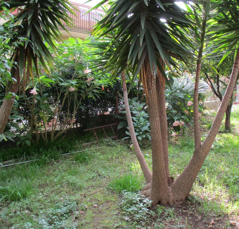 Resort Giardino Degli Aranci - Casa Lisca 巴罗尼西 外观 照片